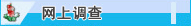 网上调查